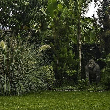 Casa Domingo Hotel Petit Miacatlán Kültér fotó