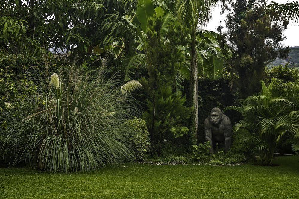 Casa Domingo Hotel Petit Miacatlán Kültér fotó
